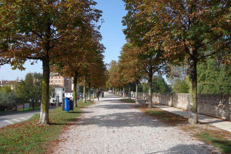 Treviso cosa vedere un giorno