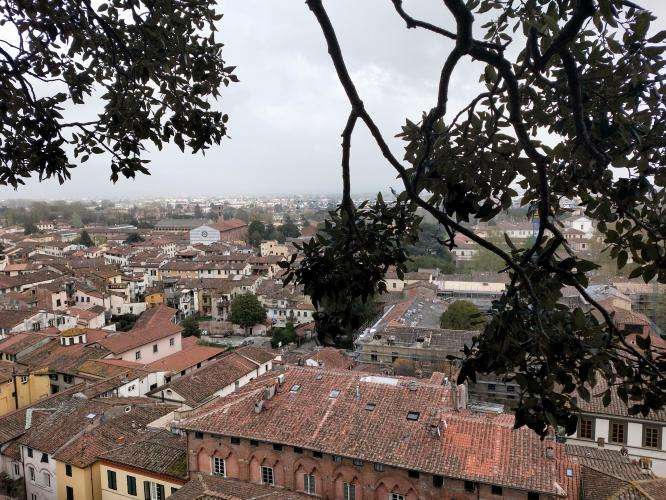 Torre Guinigi cosa vedere Lucca