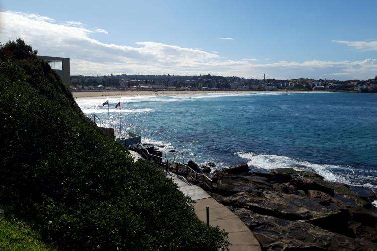 Bondi Beach cosa vedere Sydney