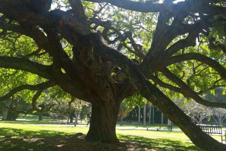 Brisbane cosa vedere