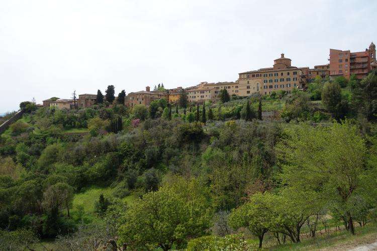 Siena cosa vedere in un giorno