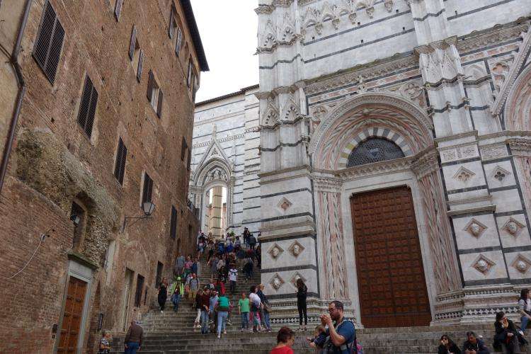 Duomo di Siena cosa vedere