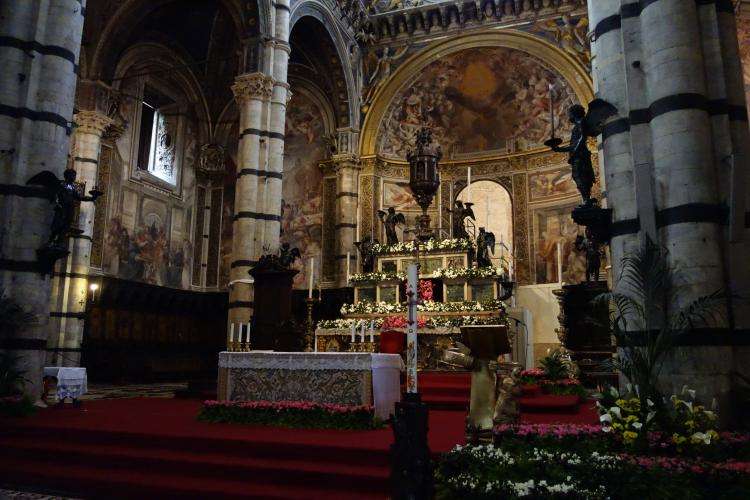 Duomo di Siena cosa vedere