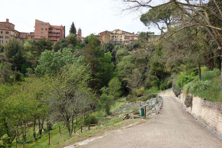 Siena cosa vedere in un giorno