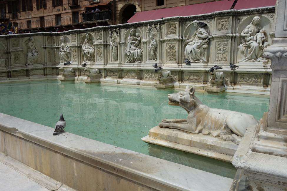 Piazza del Campo a Siena cosa vedere Piazza del Campo a Siena cosa vedere