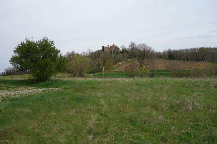 Cappella di Montesiepi cosa vedere