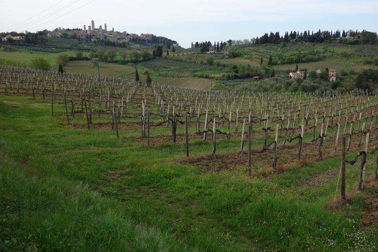 San Gimignano cosa vedere
