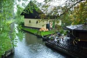 Spreewald cosa vedere Germania on the road