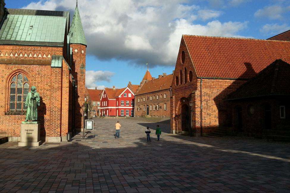 Ribe cosa vedere Danimarca
