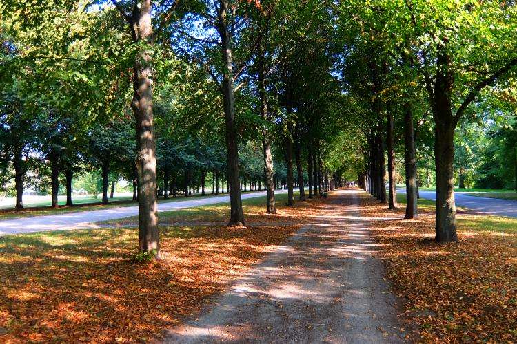 Hannover cosa vedere Germania