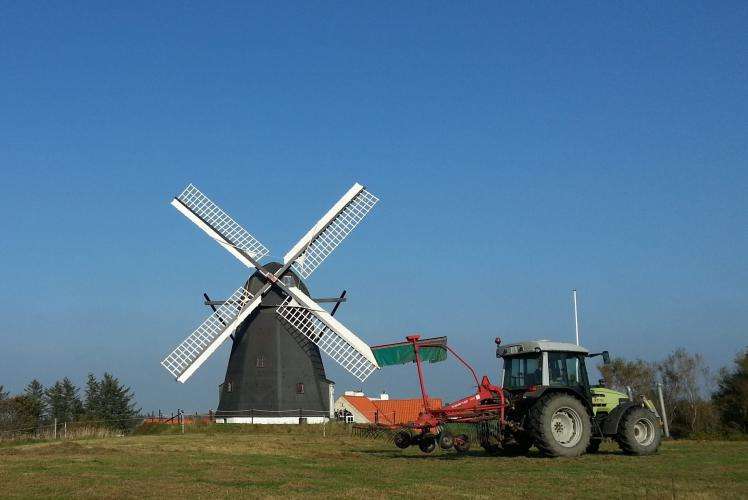 Skagen cosa vedere Jutland Danimarca