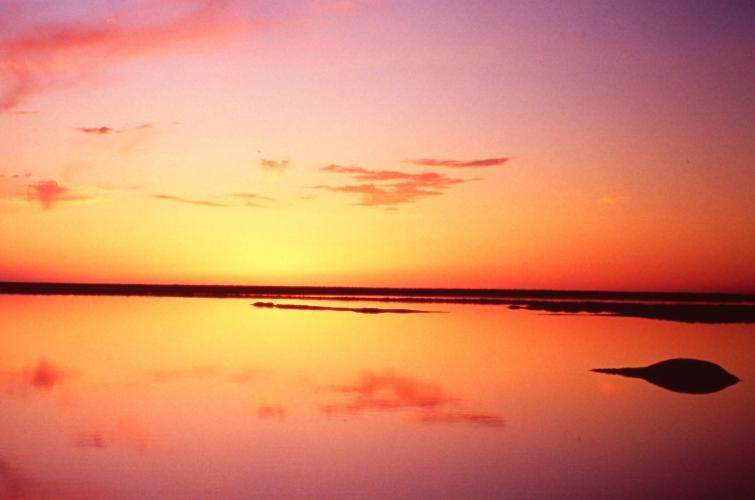 Baja California cosa vedere on the road Messico