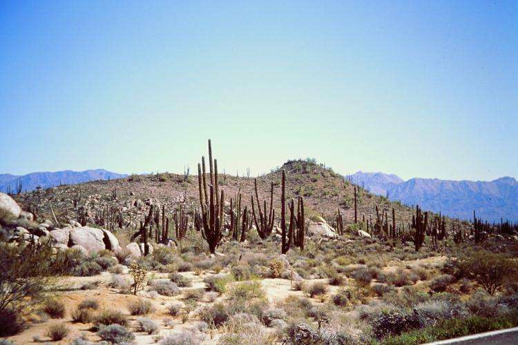 Baja California cosa vedere on the road Messico