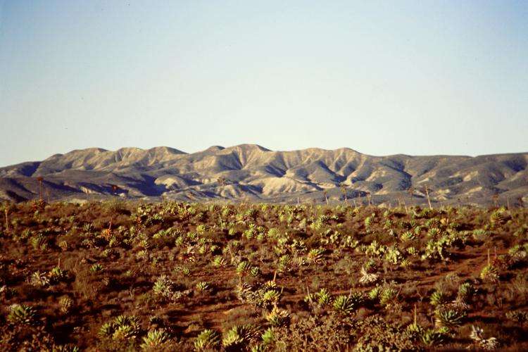 Baja California on the road cosa vedere Messico