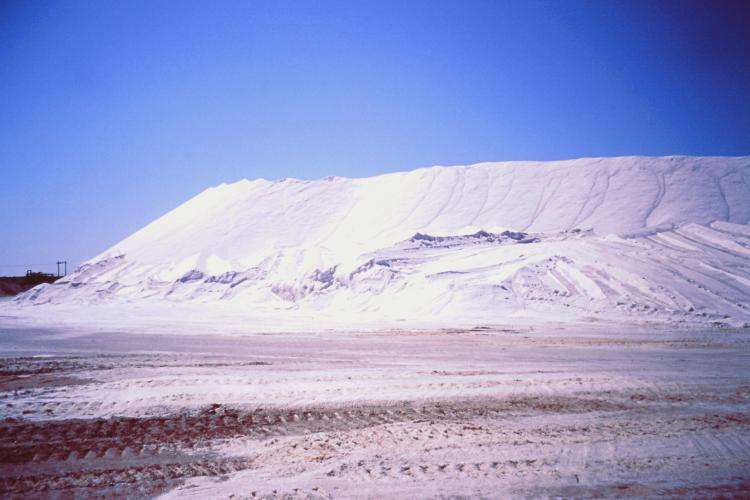 Guerrero Negro cosa vedere Baja California