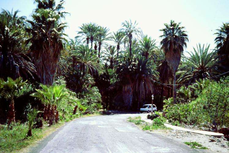 Baja California cosa vedere on the road