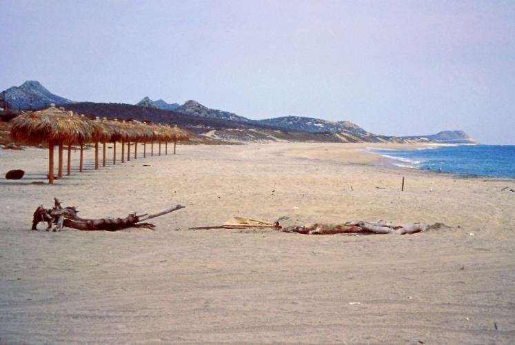 San Josè del Cabo cosa vedere Baja California