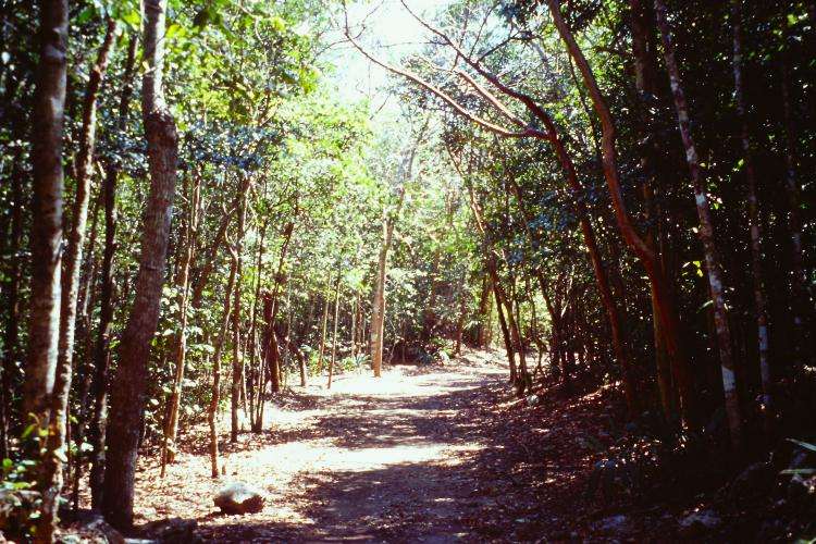 Cobá sito archeologico cosa vedere Yucatán Messico on the road