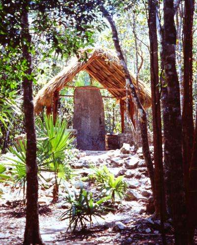 Cobá sito archeologico cosa vedere Yucatán Messico on the road
