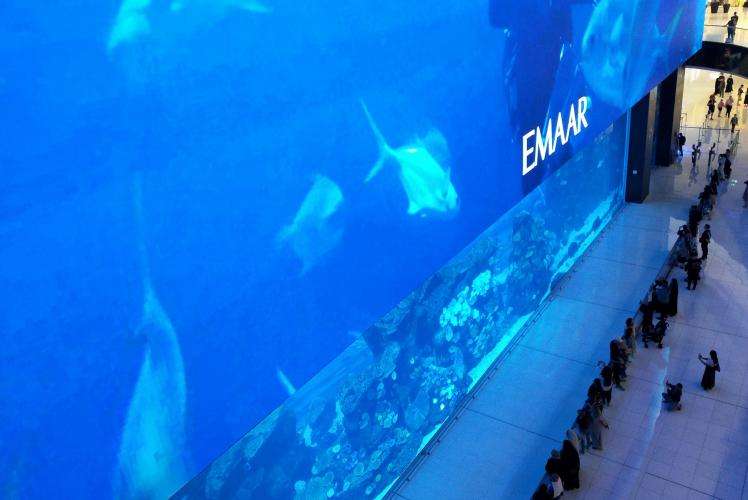 Dubai Mall cosa vedere Emirati Arabi Uniti on the road