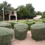 CHILDREN'S CITY E CREEK PARK COSA VEDERE DUBAI Creek Park Dubai cosa vedere Children's City