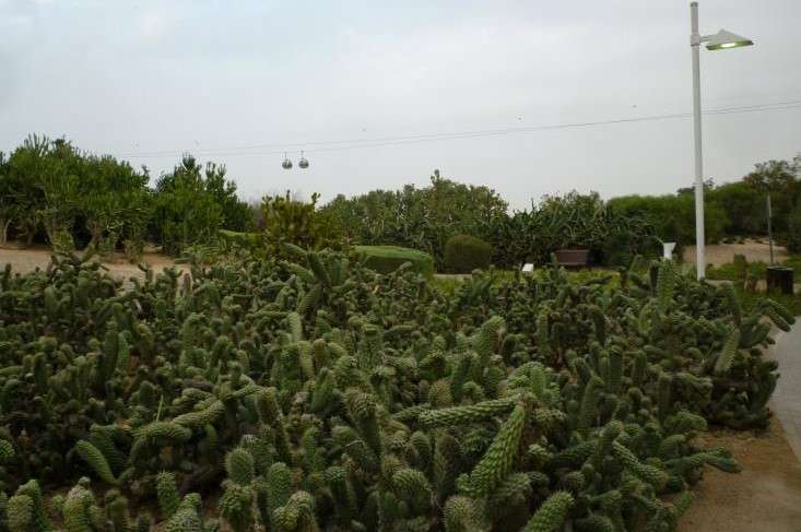 Creek Park Dubai cosa vedere Children's City