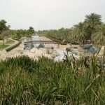 SAFA PARK COSA VEDERE DUBAI Safa Park cosa vedere Dubai