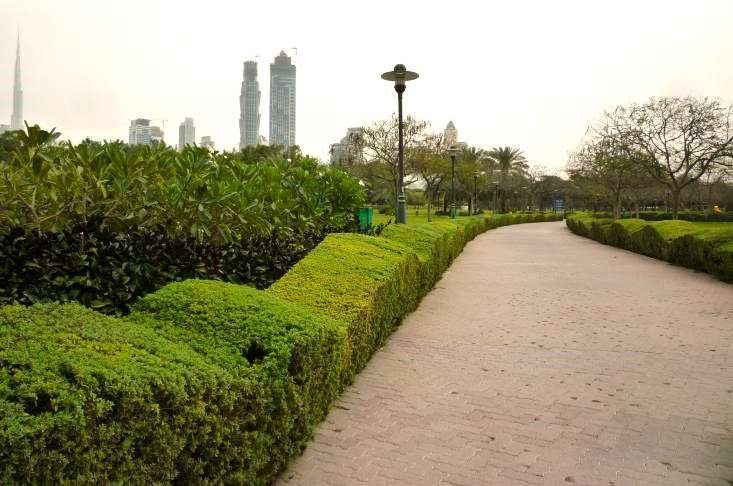 Safa Park cosa vedere Dubai