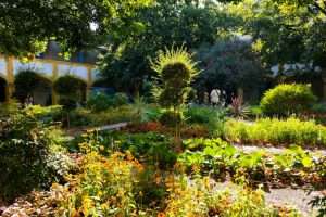 Arles cosa vedere Provenza Francia on the road
