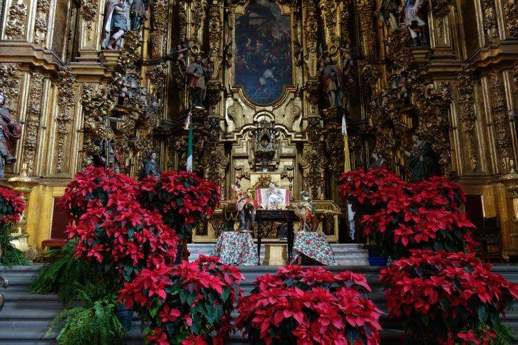 Cattedrale di Città del Messico cosa vedere