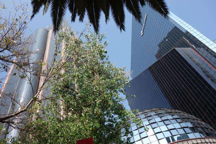 Paseo de la Reforma cosa vedere Città del Messico
