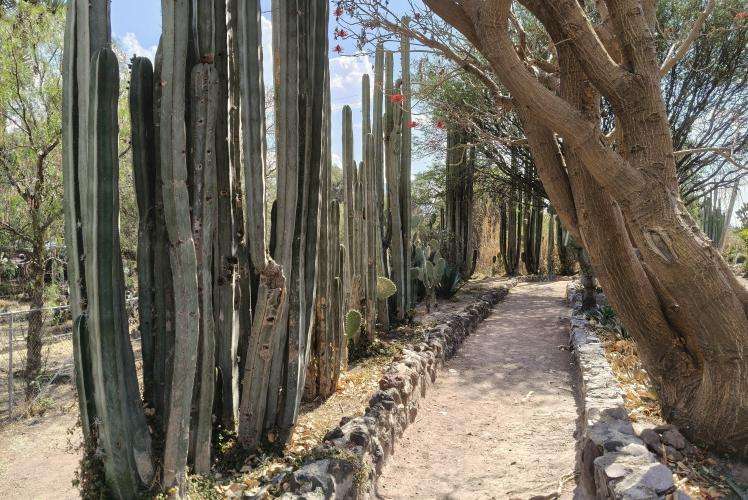 Teotihuacan cosa vedere Città del Messico