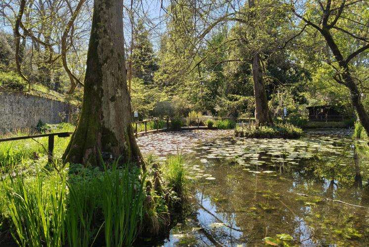 Giardino botanico di Lucca cosa vedere Toscana