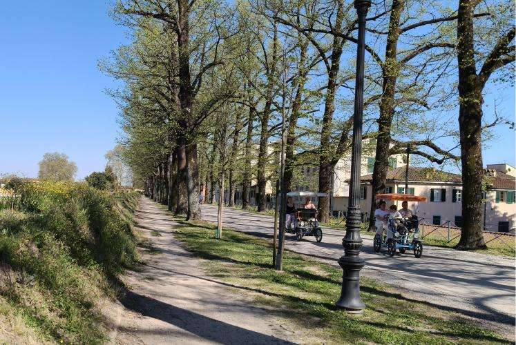 Mura di Lucca cosa vedere Toscana