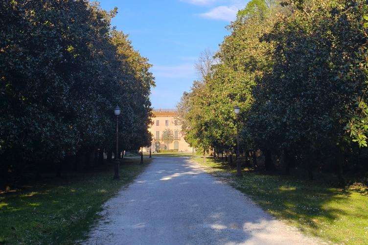 Viareggio cosa vedere Toscana