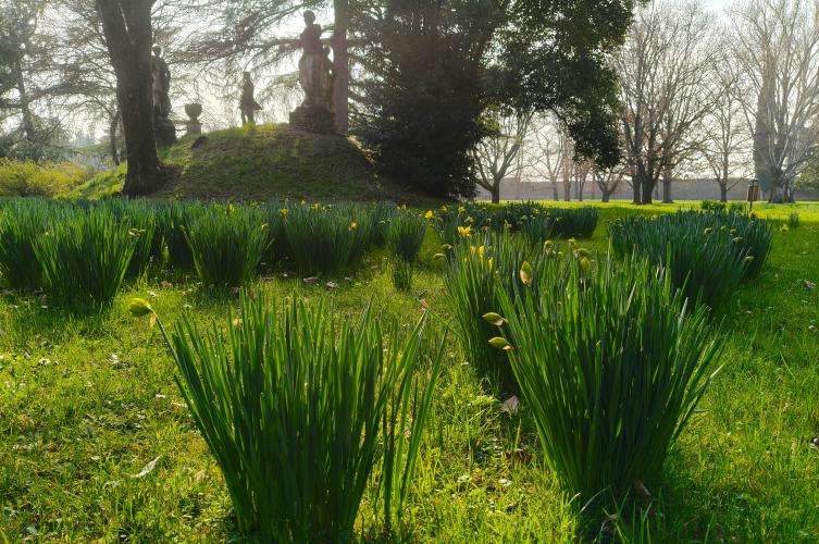 Villa Manin cosa vedere Friuli Venezia Giulia
