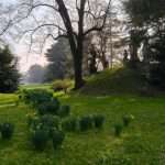 Villa Manin cosa vedere Friuli Venezia Giulia