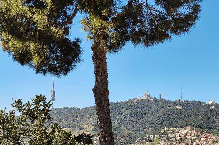 Parc Güell cosa vedere Barcellona