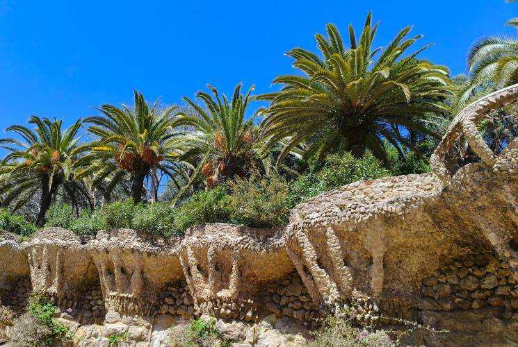 Parc Güell cosa vedere Barcellona