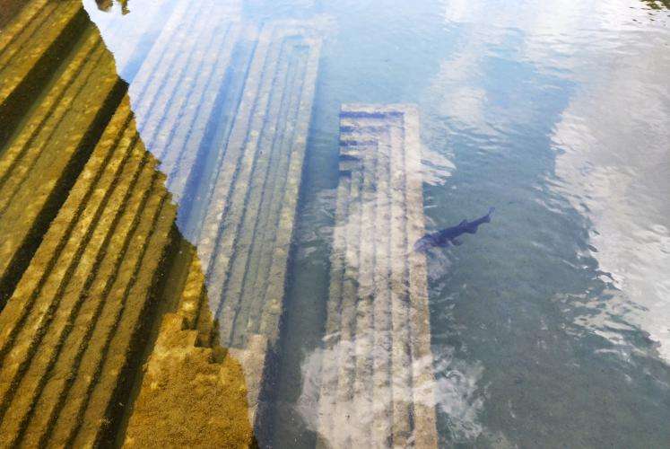 Memoriale Brion cosa vedere Veneto