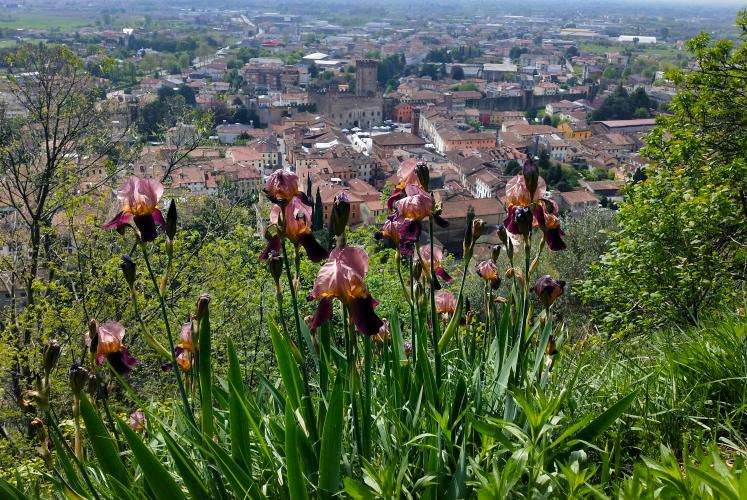 Marostica cosa vedere Veneto