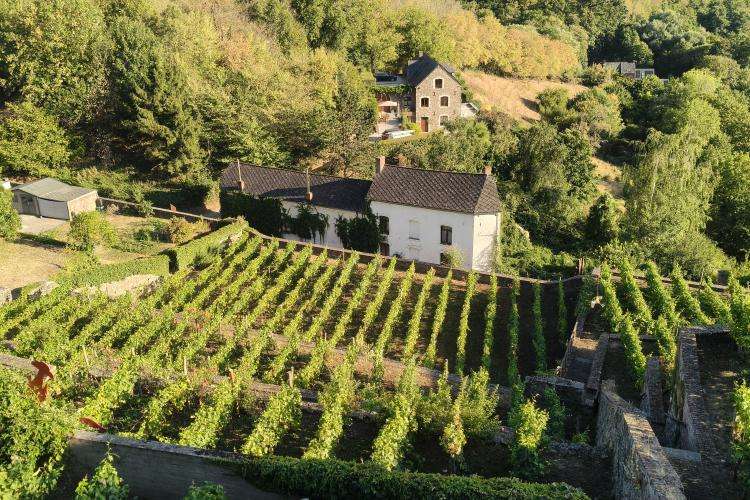Thuin cosa vedere Belgio on the road