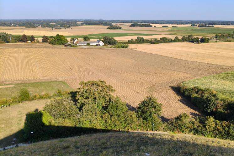 Waterloo cosa vedere Belgio on the road