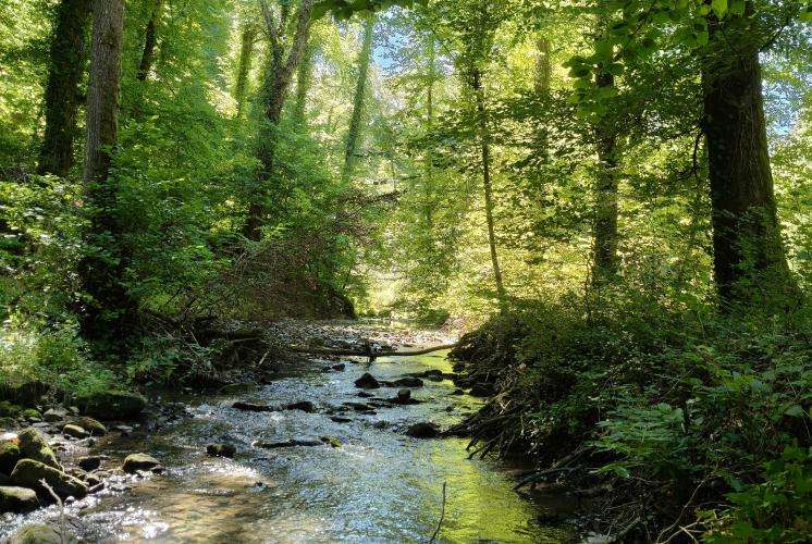 Mullerthal cosa vedere Lussemburgo on the road