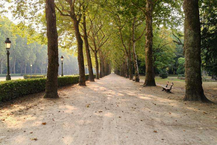 Bruxelles cosa vedere in un giorno